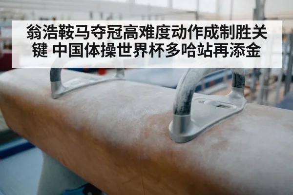 翁浩鞍马夺冠高难度动作成制胜关键 中国体操世界杯多哈站再添金