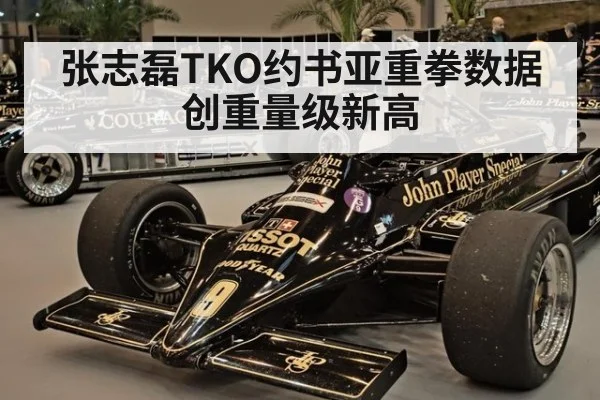 张志磊TKO约书亚重拳数据创重量级新高